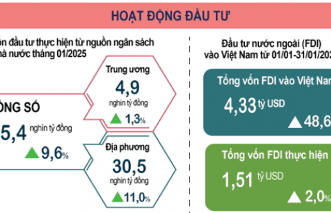 Infographic tình hình kinh tế – xã hội tháng Một năm 2025
